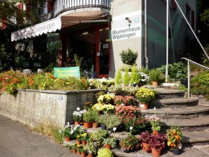 Blumenhaus_Wipkingen