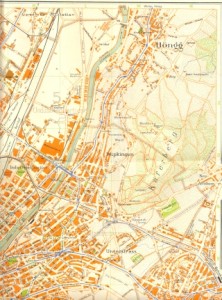 Wipkingen Plan 1929 Klein
