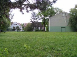 Ein Teil der Wiese ist gemäht, der andere naturbelassen